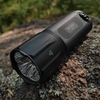 TA31 TORCH
