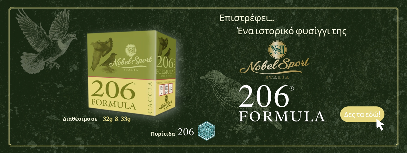 206 formula