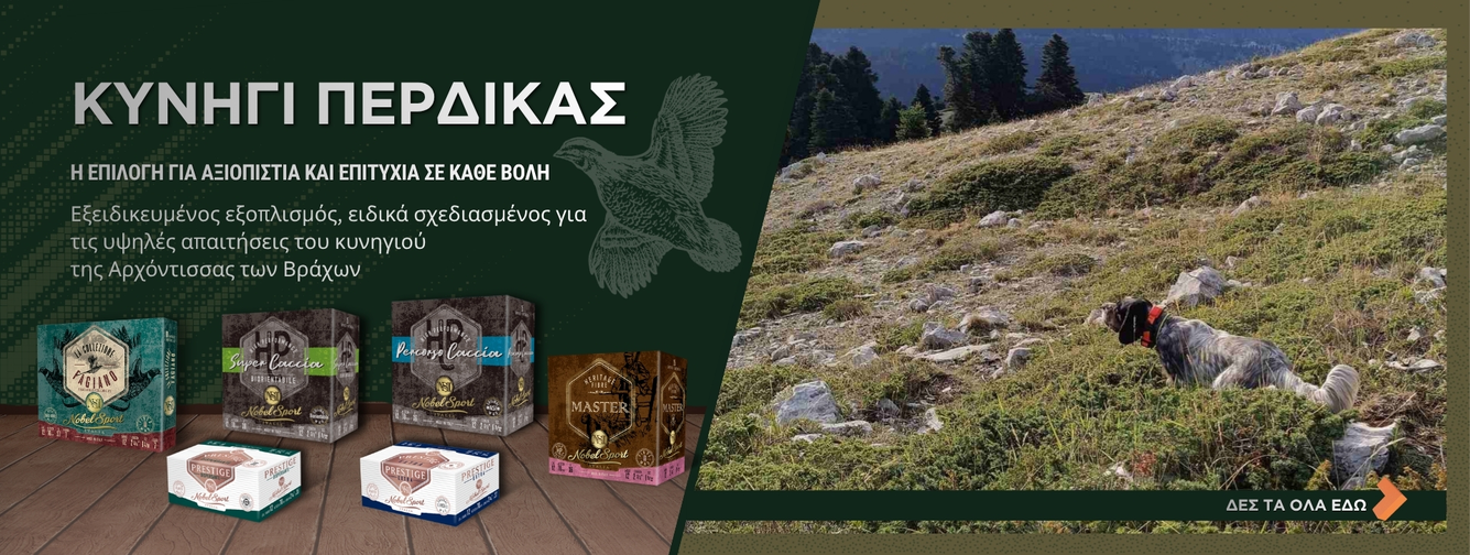 Κυνήγι πέρδικας