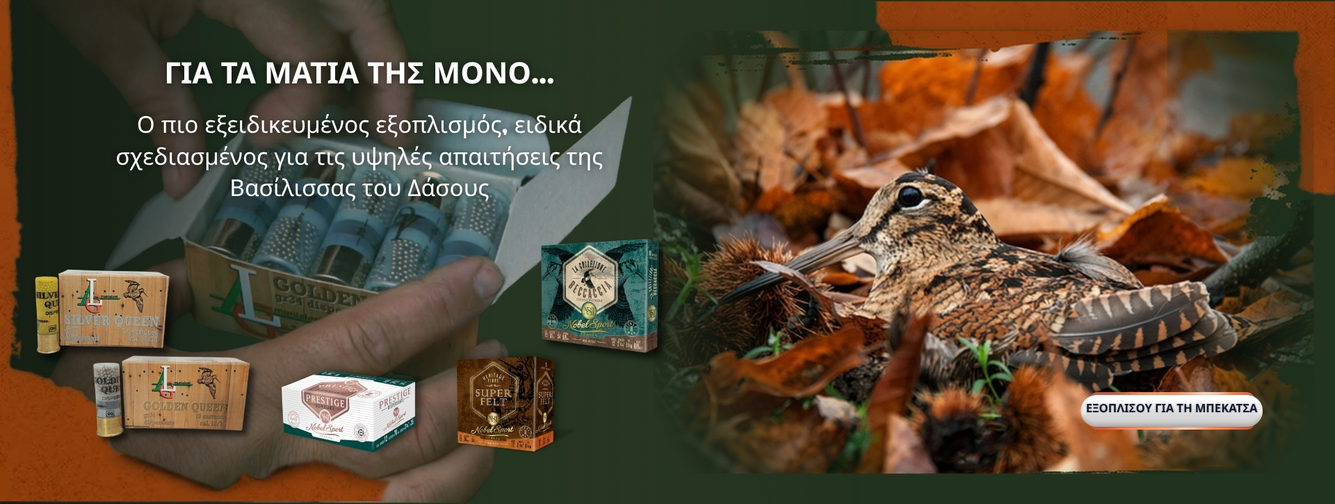 Κυνήγι Μπεκάτσας