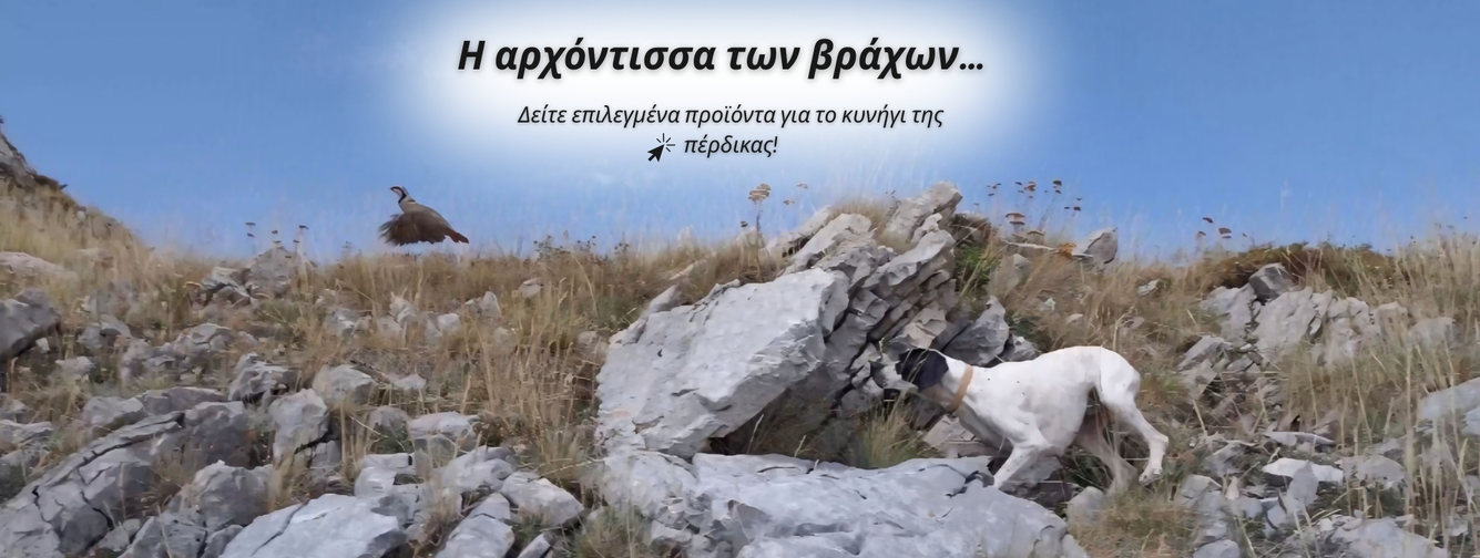Κυνήγι Πέρδικας
