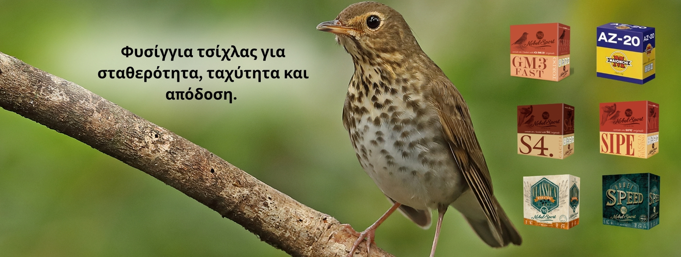 Κυνήγι Τσίχλας