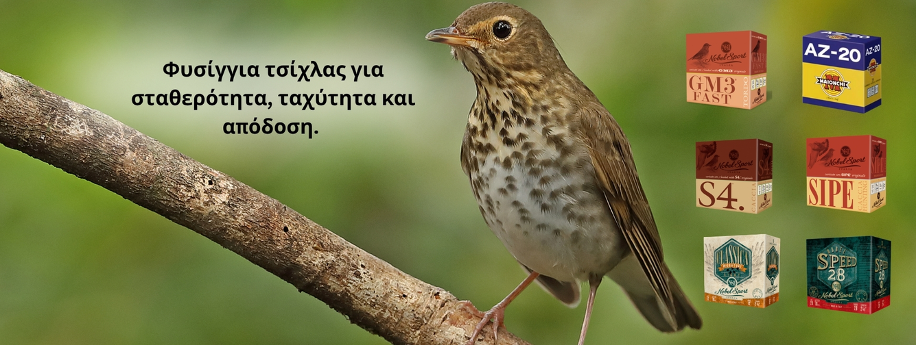 Κυνήγι Τσίχλας