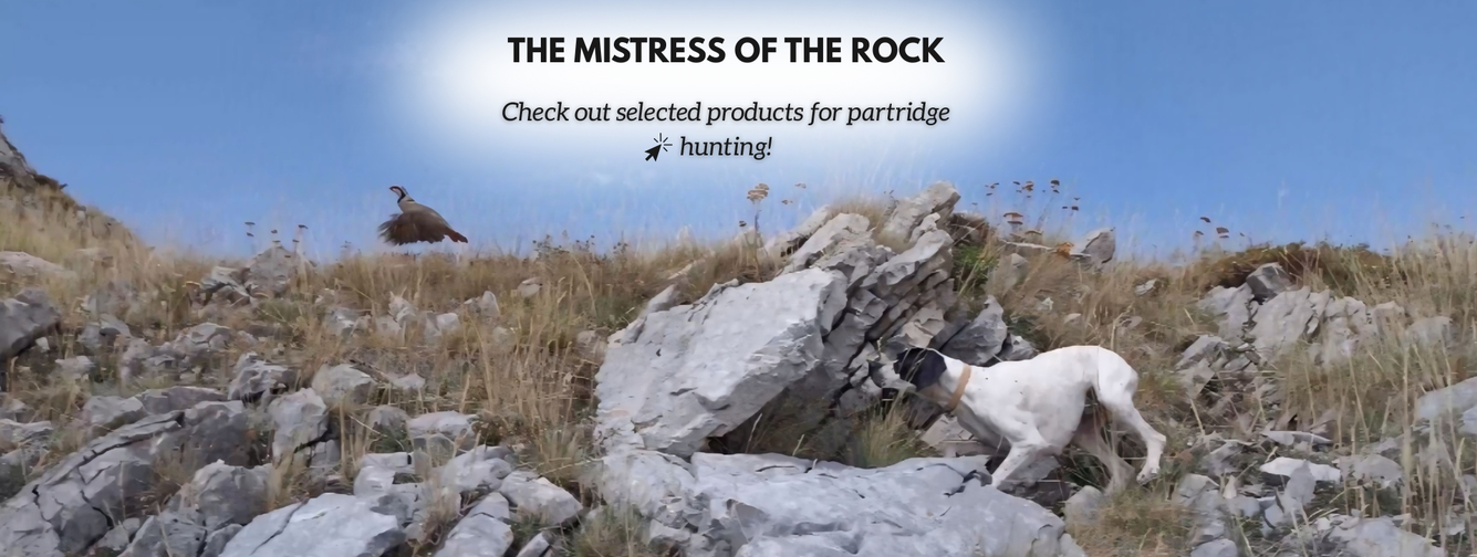 Κυνήγι Πέρδικας