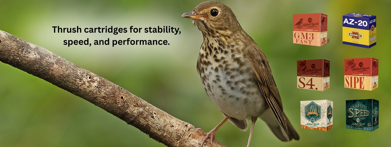 Κυνήγι Τσίχλας