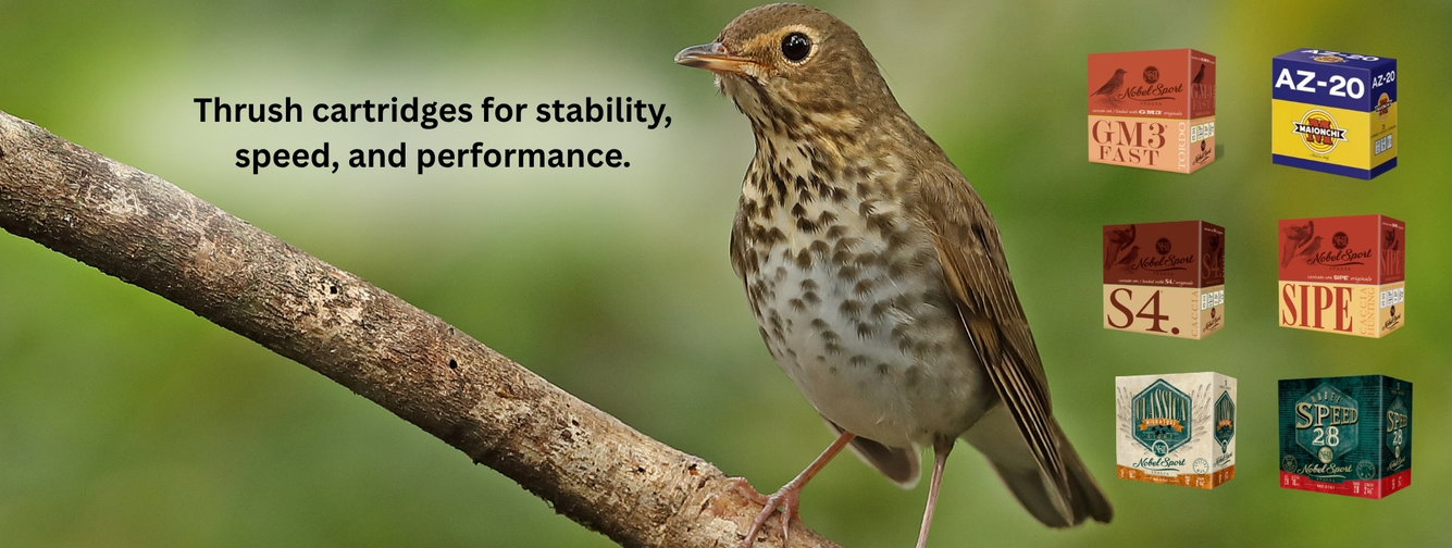 Κυνήγι Τσίχλας