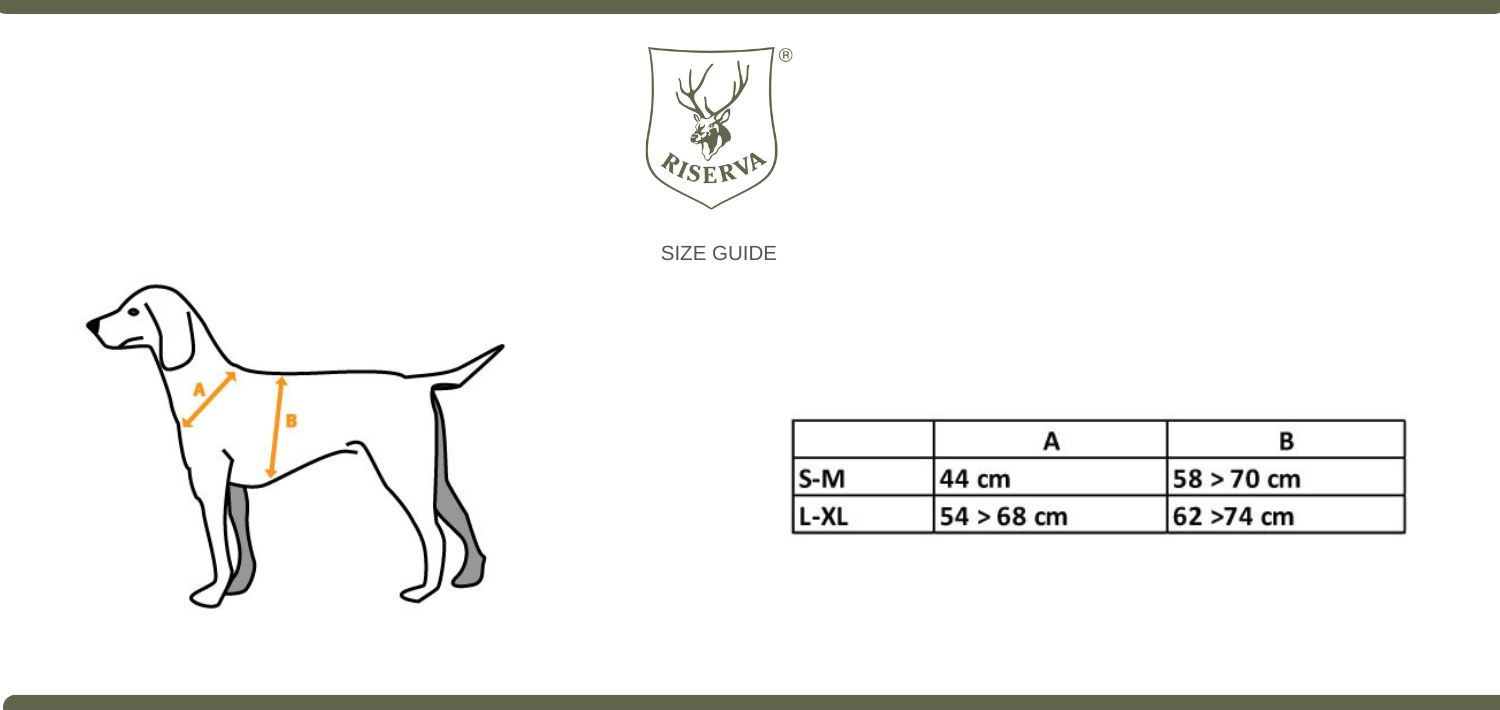 size-guide
