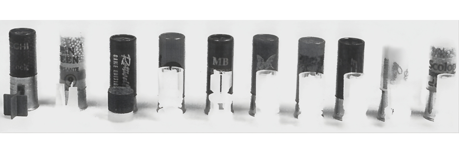 Have you seen the Ballistic Tests of 10 Specialized Hunting Cartridges for Hunting Woodcock?