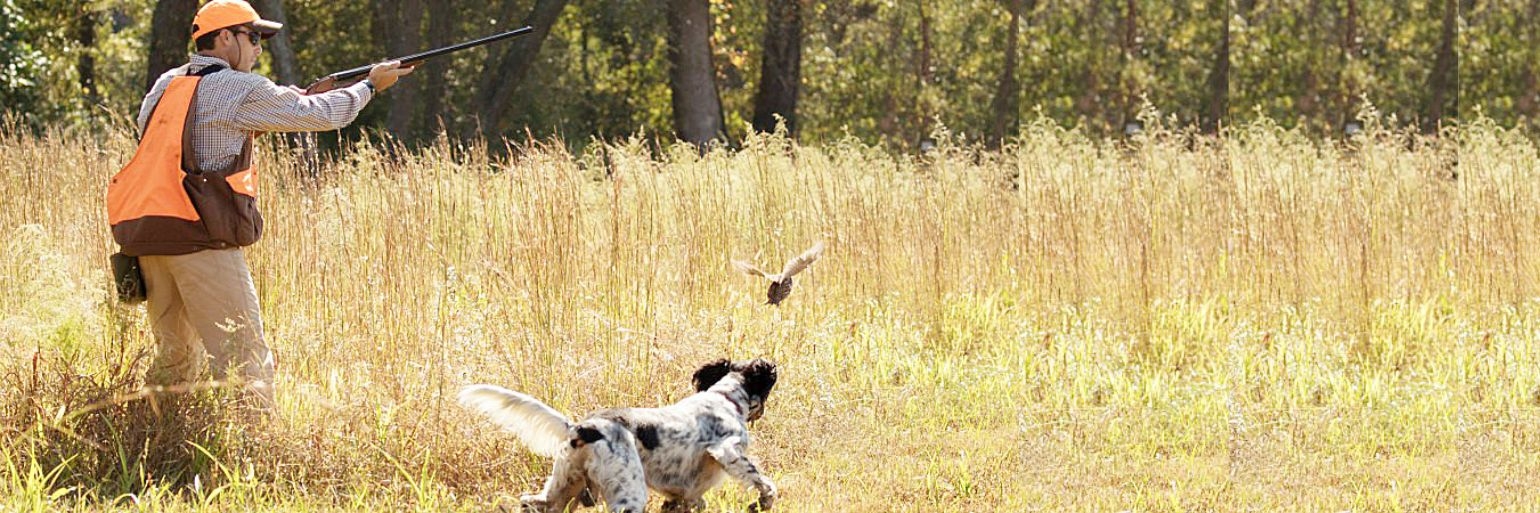 Φυσίγγια Κυνηγίου για την Έναρξη της Κυνηγετικής Περιόδου