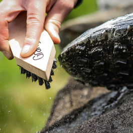 FOOTWEAR BRUSH GRF89