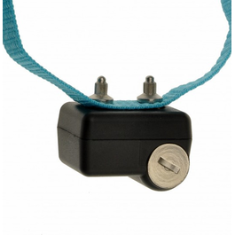 CANICALM FIRST ΚΟΛΑΡΟ NUM AXES