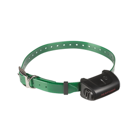 CANICOM 5 RECEIVER (DARK GREEN)