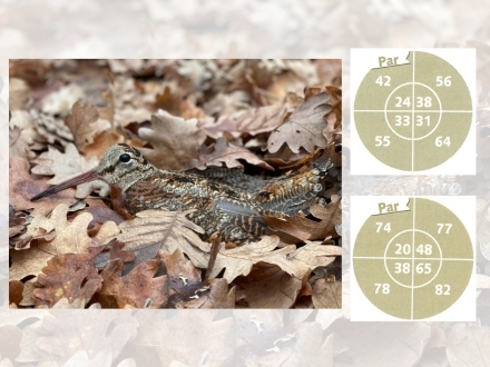 Εσύ έχεις δει τις Βλητικές Δοκιμές από 10 Φυσίγγια Κυνηγιού για το Κυνήγι της Μπεκάτσας;