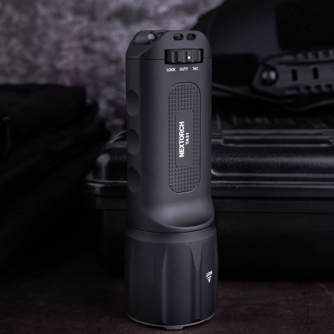 TA31 TORCH