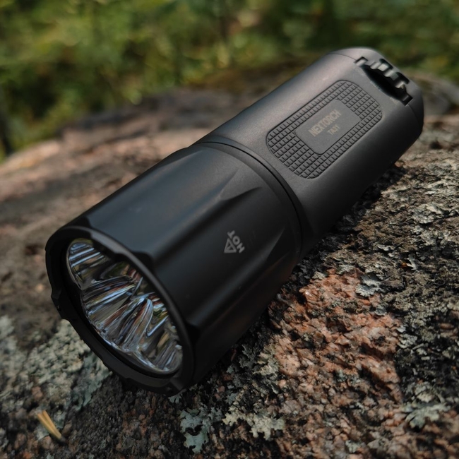 TA31 TORCH