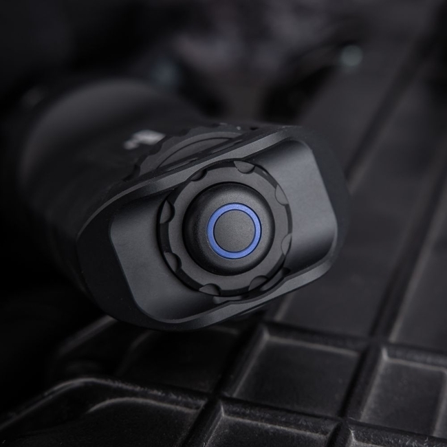TA31 TORCH