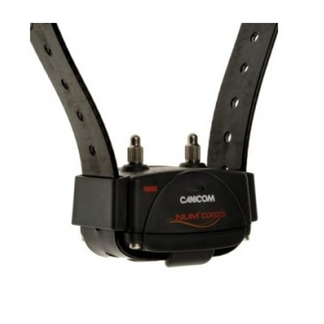 CANICOM 200 COLLAR