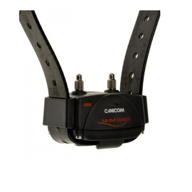 CANICOM 200 FIRST COLLAR