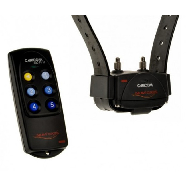 CANICOM 200 FIRST COLLAR