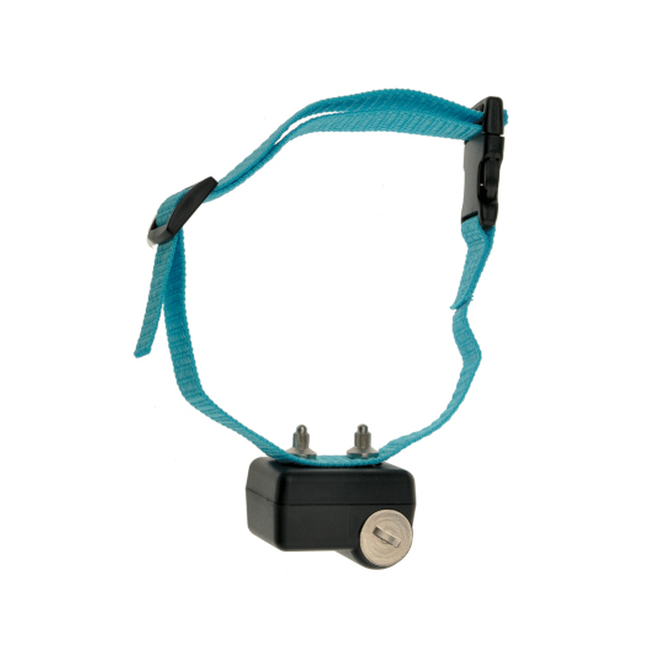 CANICALM FIRST COLLAR