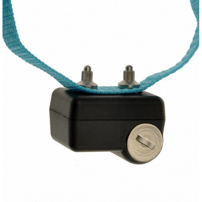 CANICALM FIRST COLLAR