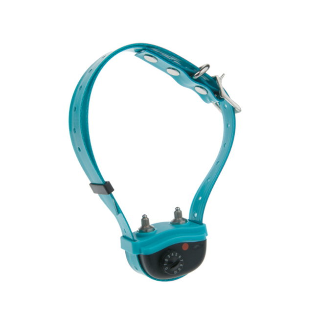 CANICALM EXCEL COLLAR