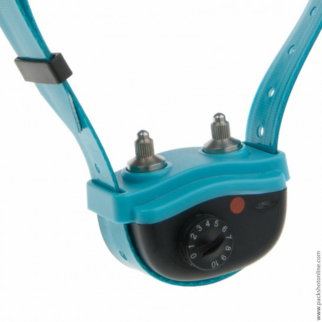 CANICALM EXCEL COLLAR