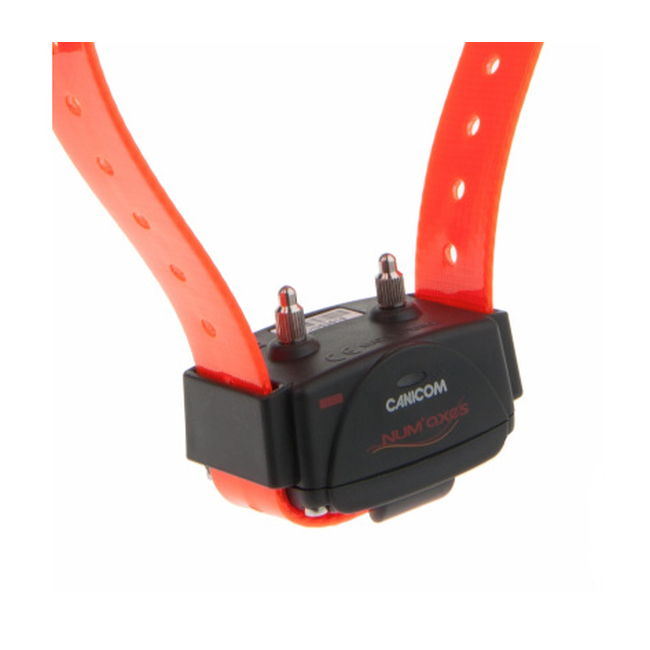 CANICOM 200/800/1500 RECEIVER (ORANGE)