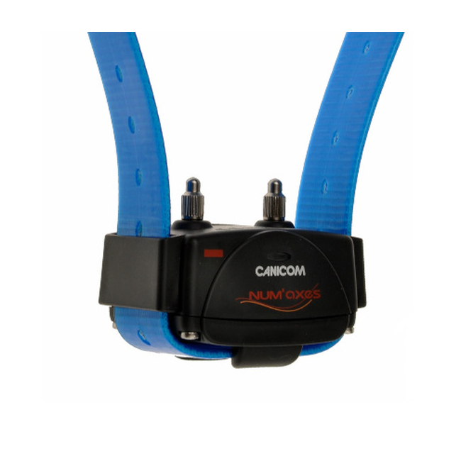 CANICOM 200/800/1500 RECEIVER (BLUE)