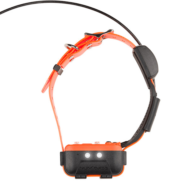 CANICOM GPS 2 SET NUM AXES