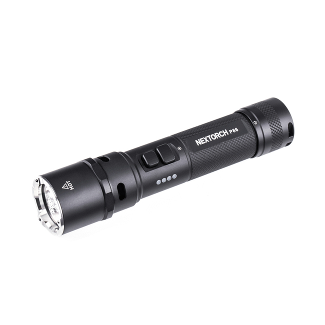 TORCH P86