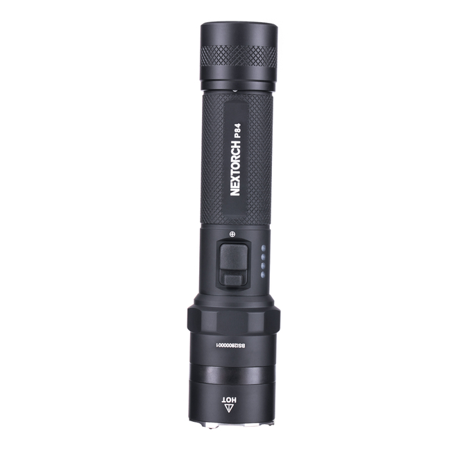 TORCH P84