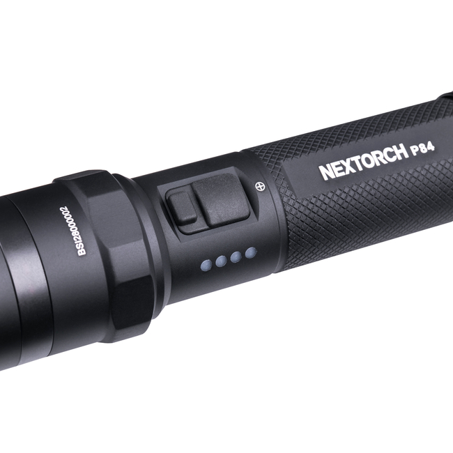 TORCH P84