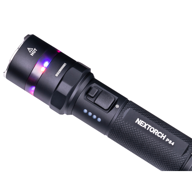 TORCH P84