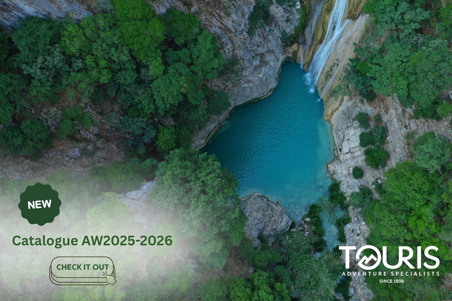 Download  our Catalogue!